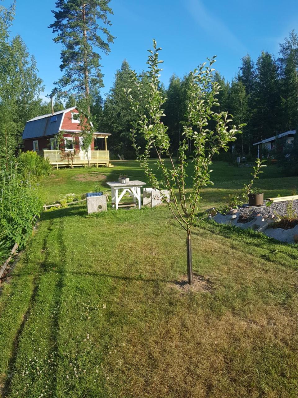 Hyttingsfabodstugor Borlänge Exteriér fotografie